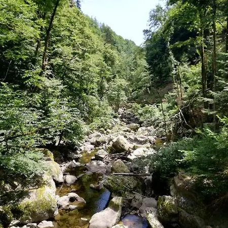 Torwarterhaus Mit Geschichte Nyaraló *